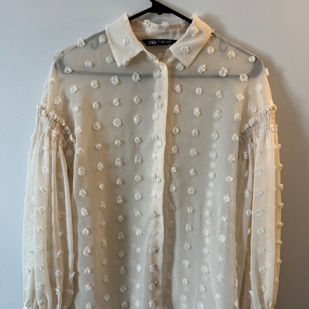 Zara - Semi-Sheer Raised Swiss Dot Smocked Arms Button Down Blouse